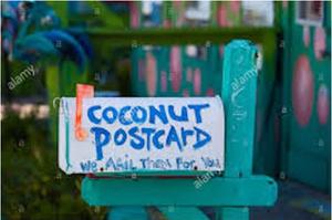 Coconut Postcard